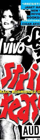 Strip: Striptease Disaster